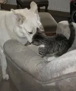 Susi  und Lenny11.webp