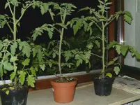 BILD0173.webp