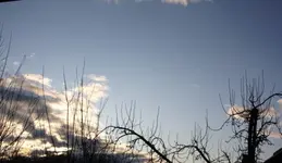 IMG_0001 (2).webp