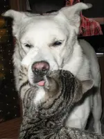 Susi  und Lenny7.webp