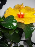 DSC01047.webp