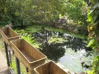 teich3.webp
