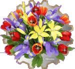 blumenstrauß.gif