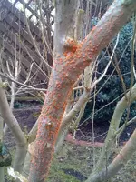 photo.webp