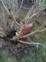 photo 2.webp