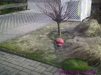 PIC00120.webp