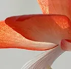 Rätselbild10.webp