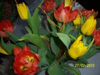 100_2302.webp