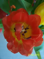 100_2303.webp