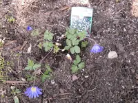 3.3.2010 009.webp