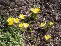 3.3.2010 013.webp