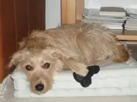 PC010039 Kopie.webp