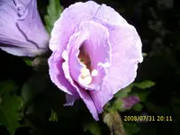 bilderrätzel.webp