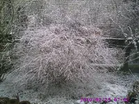 PIC00124.webp