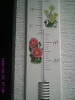 PIC00126.webp