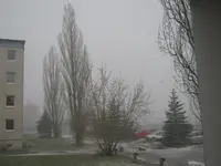 005.webp