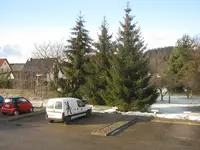 006.webp