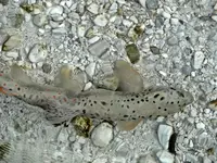 DSC02712.webp