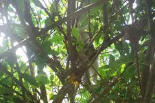 CIMG1840.webp