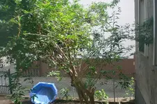CIMG1921.webp