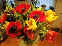 DSC04066.webp
