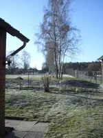 15.03..webp