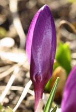 IMG_7256.webp