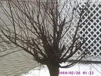 PIC00132.webp