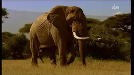 NDR FS NDS _ 2010-03-03_210944.webp