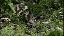 NDR FS NDS _ 2010-03-03_203910.webp