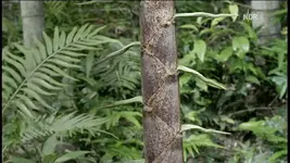 NDR FS NDS _ 2010-03-03_203931.webp