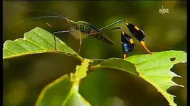 NDR FS NDS _ 2010-03-03_213046.webp