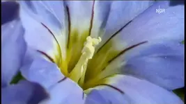 NDR FS NDS _ 2010-03-03_202625.webp