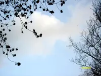 2010  Berlin 02 128.webp