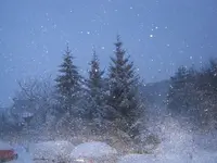 009.webp