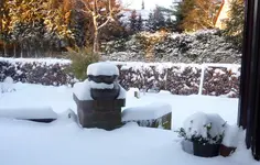 P1020840.webp