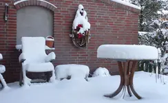 P1020838.webp