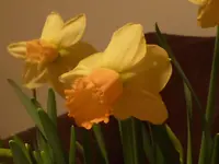 P1020789.webp
