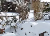 P1020375.webp
