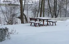 P1020377.webp