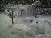 PIC00140.webp
