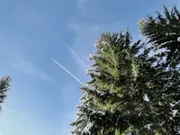 DSC02993.webp