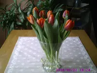 PIC00158.webp