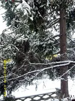 JD500592.webp