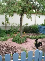 Gemüsefrühling.webp