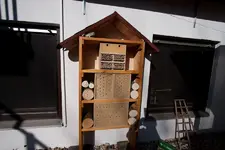 20100306153245.webp