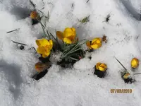 Bild 092.webp