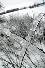Spz_DSC00517.webp