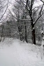 Spz_DSC00707.webp