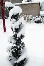 2010KW01_C0614.webp